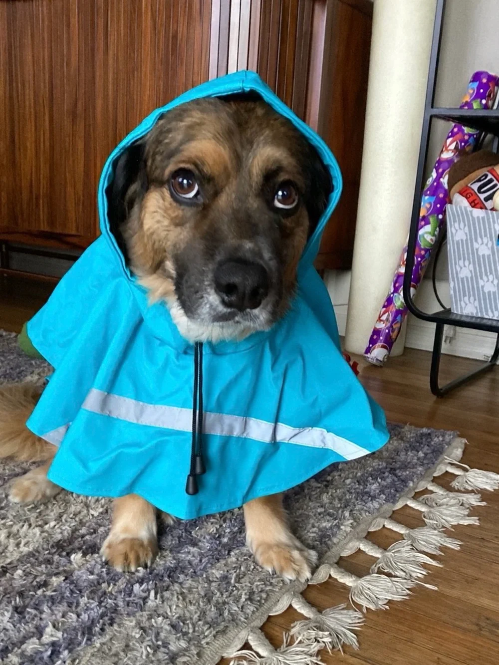 Blue Dog Raincoat Size L Fits 30-55lb dogs